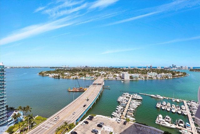 aerial view with a water view