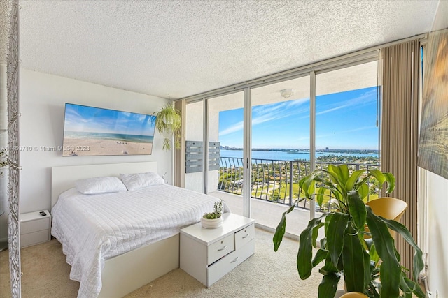 bedroom with light colored carpet, multiple windows, and a water view