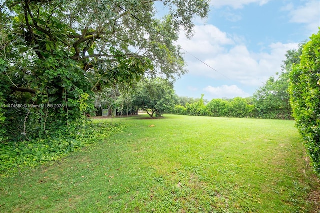 19720 SW 242nd Ter, Homestead, FL 33031 - view of yard