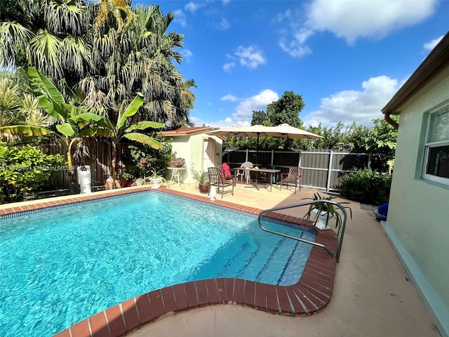 view of swimming pool with a patio area