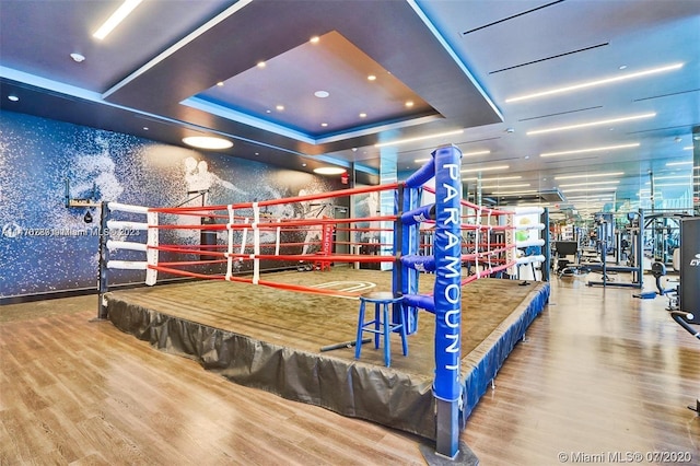 interior space featuring a raised ceiling and light hardwood / wood-style flooring