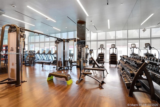 workout area featuring expansive windows and light hardwood / wood-style floors