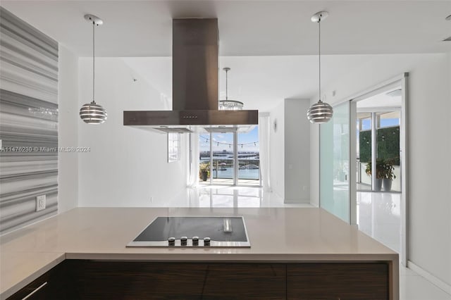 kitchen featuring hanging light fixtures, black electric cooktop, a wealth of natural light, and island range hood