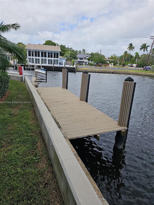 dock area with a water view