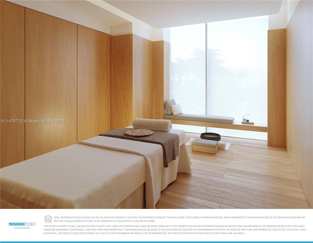 bedroom featuring multiple windows and light hardwood / wood-style floors