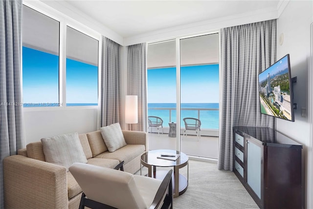 carpeted living room featuring a wealth of natural light and a water view