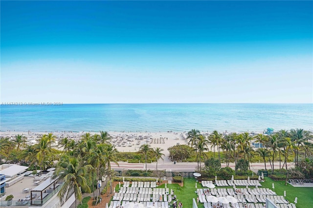 water view featuring a beach view