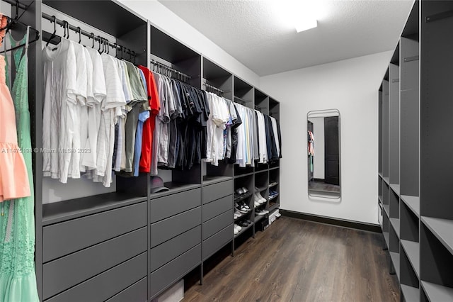 walk in closet featuring dark wood-type flooring