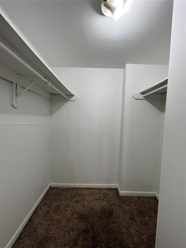 walk in closet with carpet