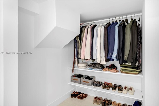 view of spacious closet