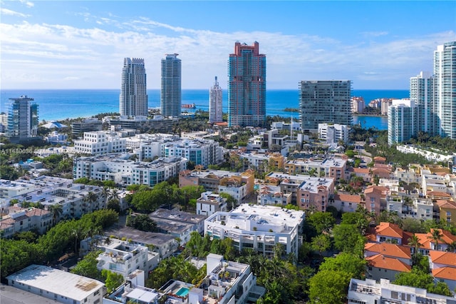 view of city featuring a water view