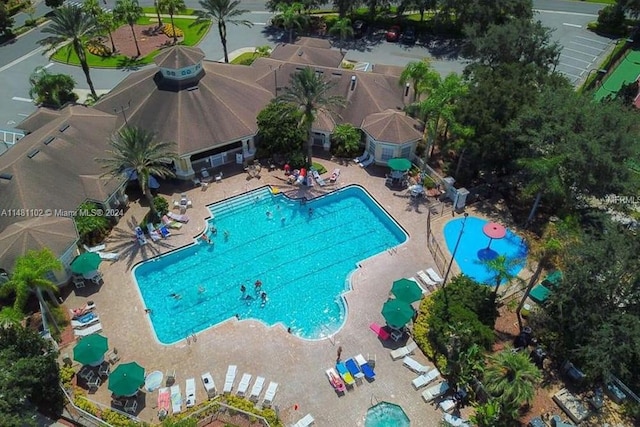 view of swimming pool featuring a patio area