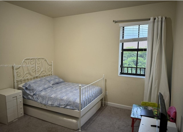 bedroom featuring carpet