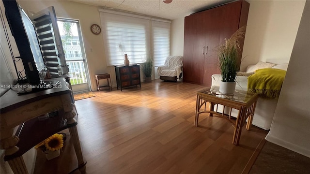 living area with a textured ceiling and light hardwood / wood-style floors