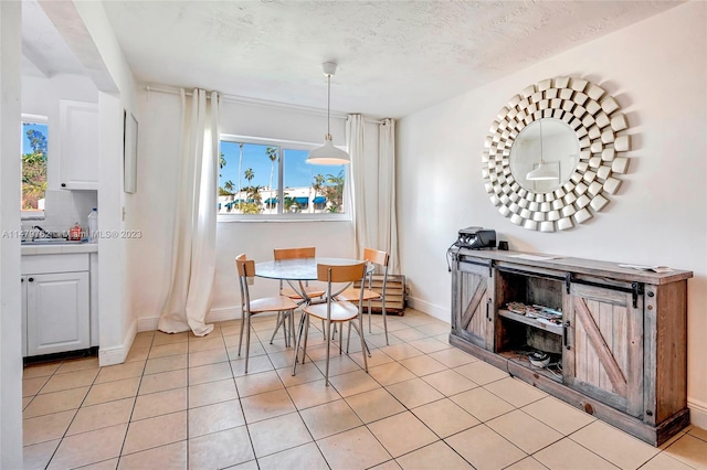 tiled dining room with a wealth of natural light