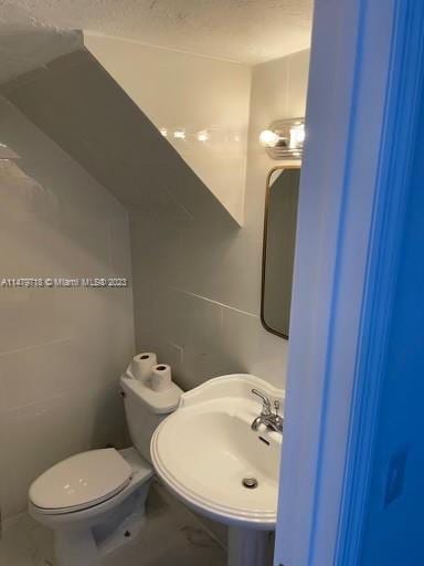 bathroom with toilet and sink