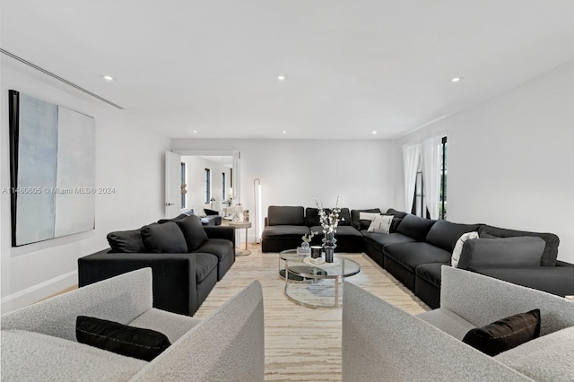 living room featuring hardwood / wood-style flooring