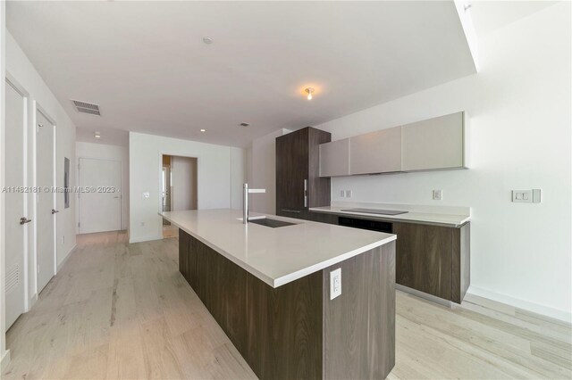 kitchen featuring light hardwood / wood-style flooring, dark brown cabinetry, a kitchen island with sink, and sink