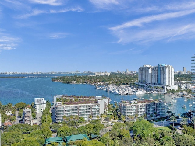 drone / aerial view featuring a water view