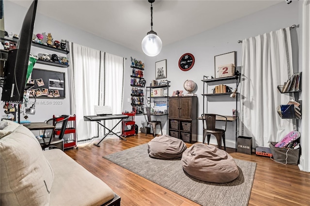 interior space with wood-type flooring