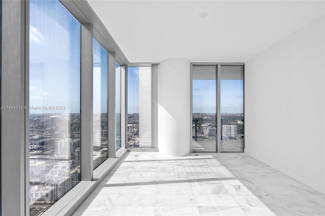 spare room featuring a wealth of natural light and a wall of windows