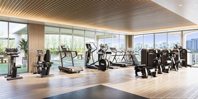 workout area featuring expansive windows, light hardwood / wood-style floors, and a healthy amount of sunlight