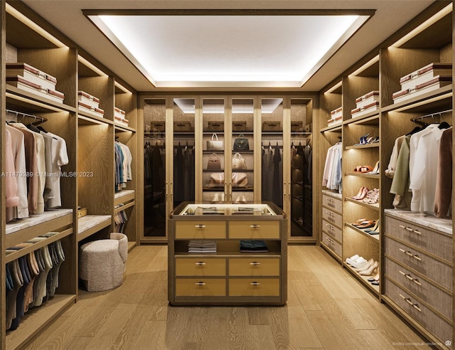 walk in closet featuring a raised ceiling and hardwood / wood-style floors