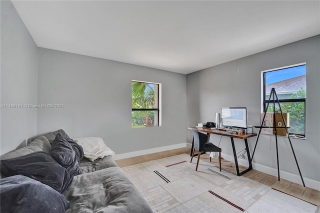 office area featuring light hardwood / wood-style floors and a healthy amount of sunlight