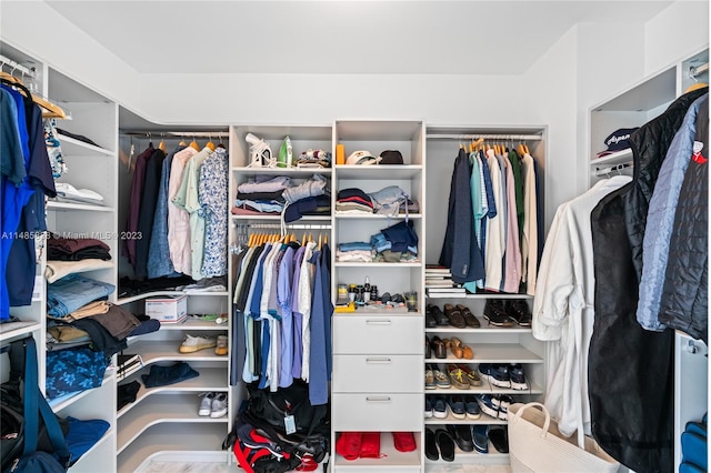 view of spacious closet