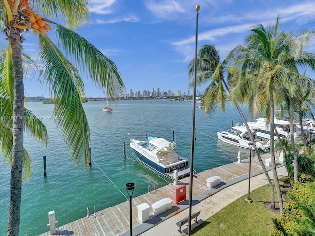 dock area featuring a water view