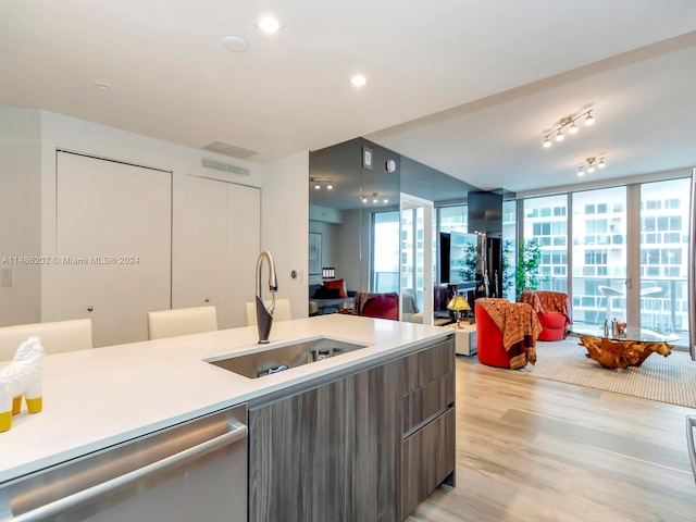 kitchen featuring light wood-type flooring, stainless steel dishwasher, expansive windows, and sink