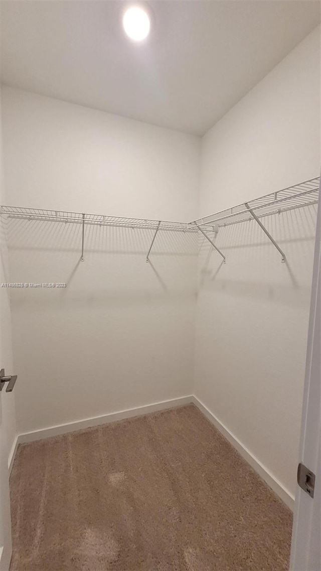 walk in closet with carpet