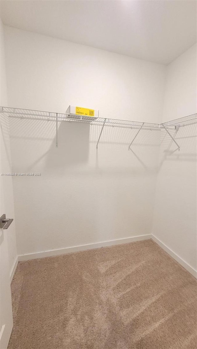 spacious closet featuring carpet flooring