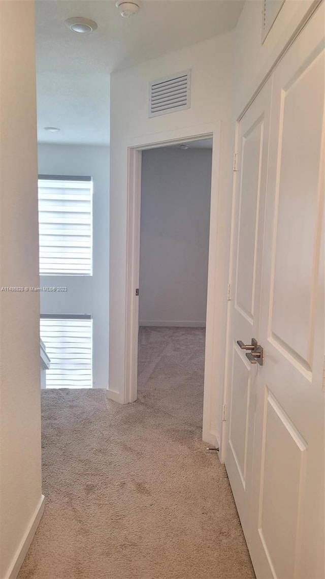 hall featuring light colored carpet and a wealth of natural light