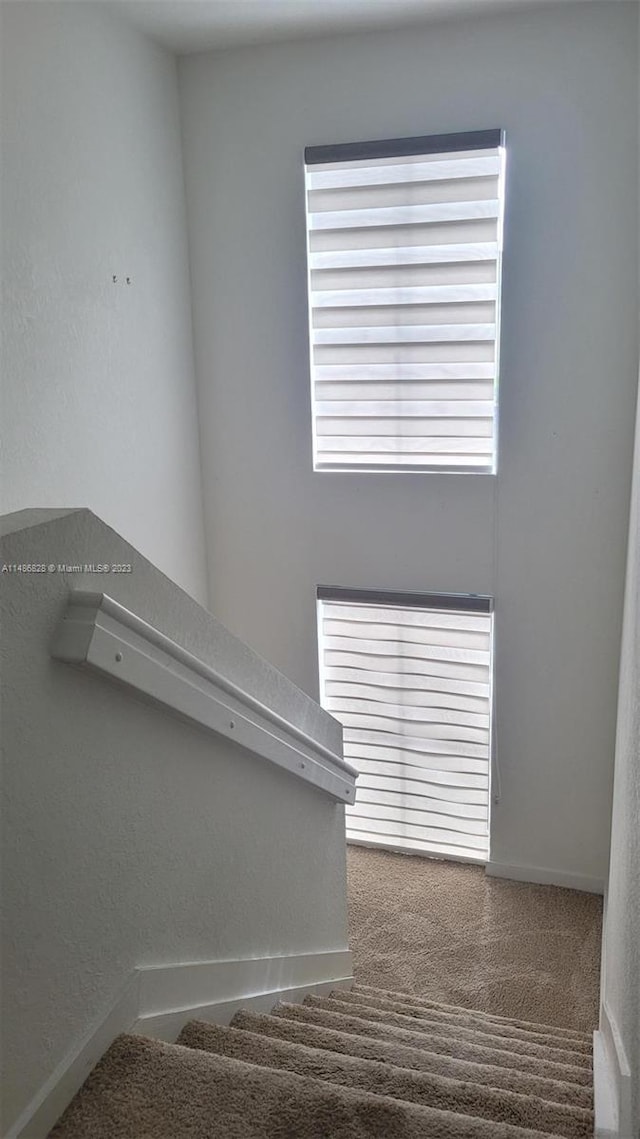 stairs with dark carpet