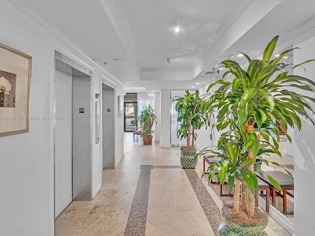 corridor with crown molding, a raised ceiling, and elevator