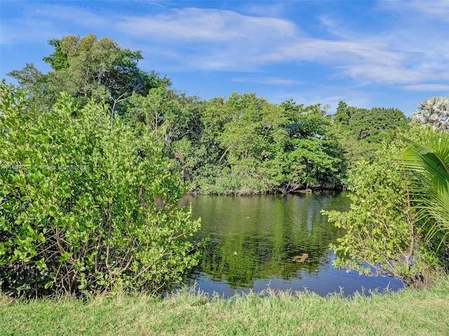 view of water view