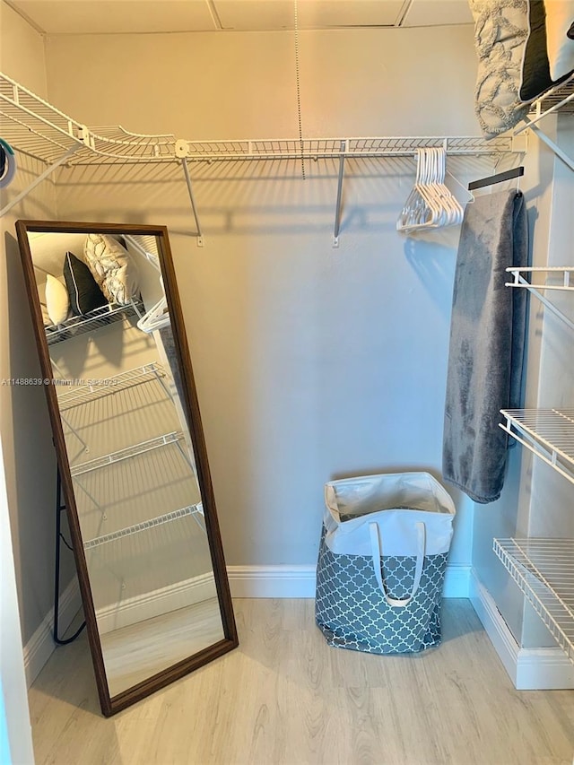 spacious closet with light wood-type flooring