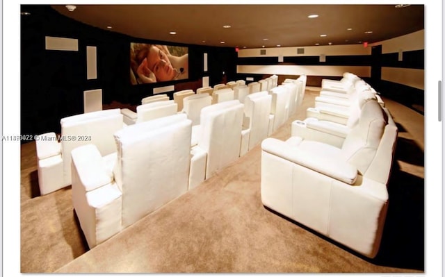 cinema room featuring light carpet