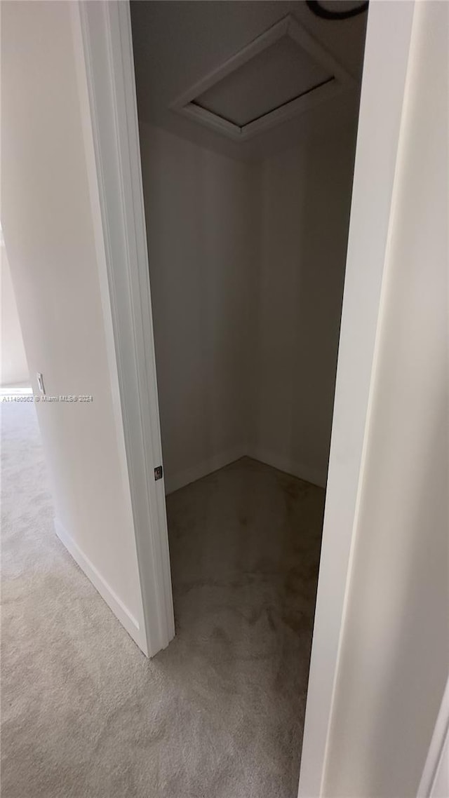 view of closet