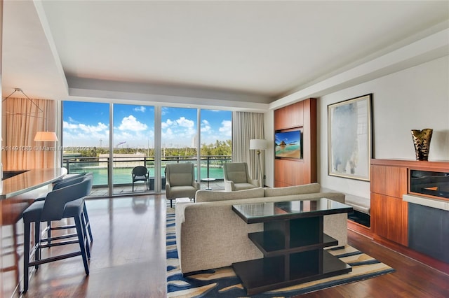 living room with dark hardwood / wood-style floors and a water view