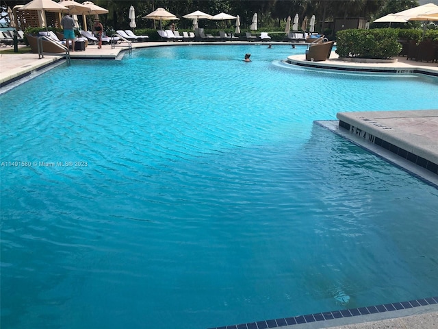 view of pool with a patio area