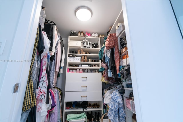 view of walk in closet