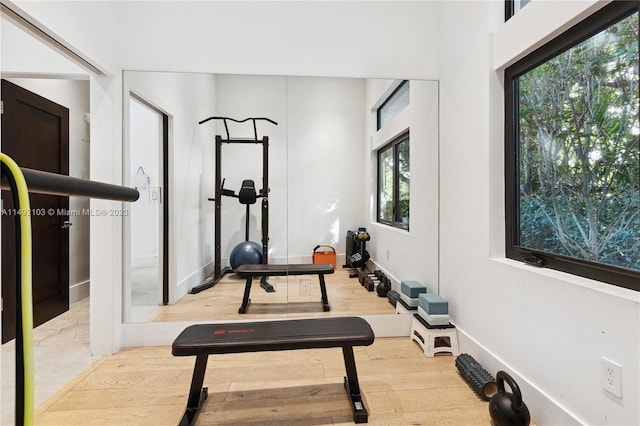 workout area featuring a healthy amount of sunlight and light hardwood / wood-style flooring