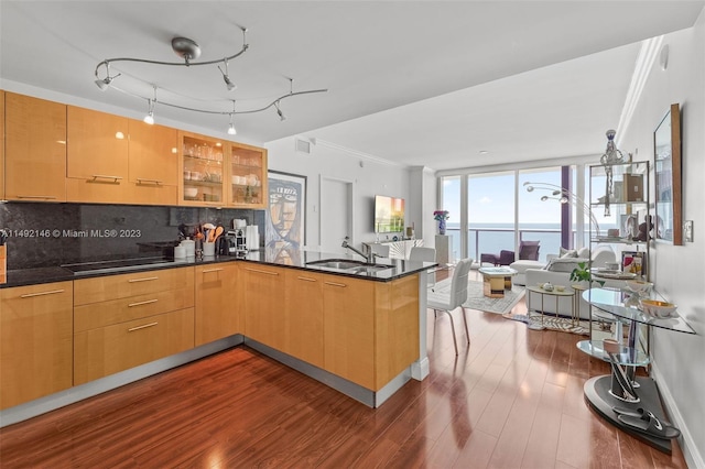 kitchen with kitchen peninsula, sink, ornamental molding, dark wood-type flooring, and decorative backsplash