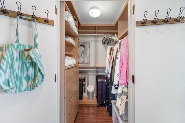 walk in closet featuring dark hardwood / wood-style flooring and radiator heating unit