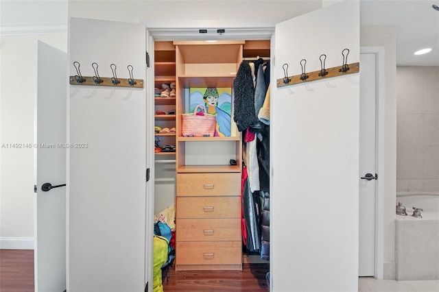 view of closet