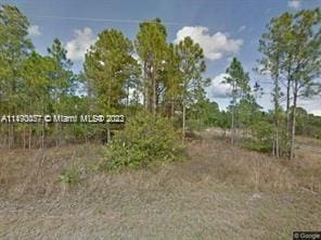 203 N Horseclub Ave, Clewiston FL, 33440 land for sale