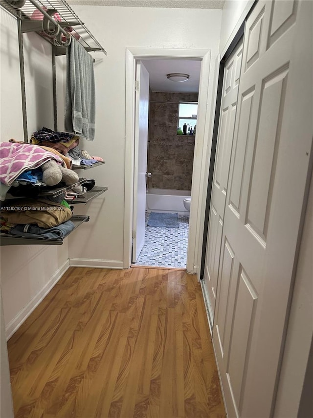 hall featuring light hardwood / wood-style floors