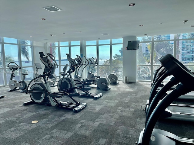 workout area featuring dark carpet and a wall of windows